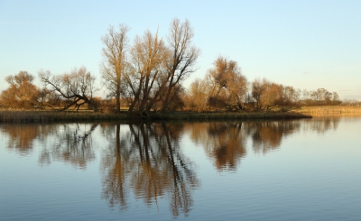 <i class='fa fa-user'></i>&nbsp;Ben Aalders&nbsp;|  Kadoeler meer&nbsp; <i class='fa fa-eye'>&nbsp;86</i> &nbsp; <i class='fa fa-comment-o'>&nbsp;0</i>