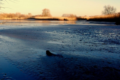 <i class='fa fa-user'></i>&nbsp;kooyammers&nbsp;|  Laag water in de 'Put'&nbsp; <i class='fa fa-eye'>&nbsp;149</i> &nbsp; <i class='fa fa-comment-o'>&nbsp;0</i>