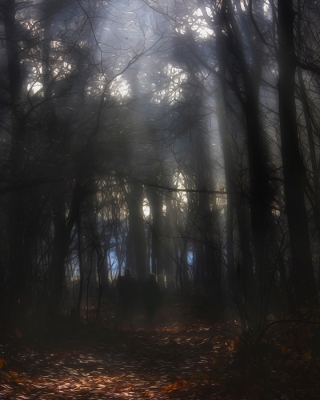 <i class='fa fa-user'></i>&nbsp;daan de vos&nbsp;|  Herfstbos&nbsp; <i class='fa fa-eye'>&nbsp;158</i> &nbsp; <i class='fa fa-comment-o'>&nbsp;1</i>
