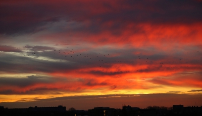 <i class='fa fa-user'></i>&nbsp;Ben Aalders&nbsp;|  Zonsopkomst boven Zwolle&nbsp; <i class='fa fa-eye'>&nbsp;176</i> &nbsp;<i class='fa fa-thumbs-up'>&nbsp;2</i> &nbsp; <i class='fa fa-comment-o'>&nbsp;3</i>