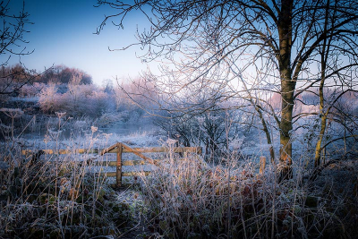 Koude zonsopgang op zondag 4 december in rivieroeverreservaat De blauwe kamer tussen Rhenen en Wageningen
