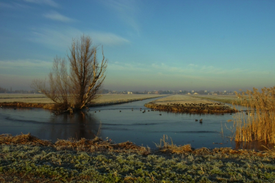<i class='fa fa-user'></i>&nbsp;B.M.Schouten-Ruis&nbsp;|  Landschap&nbsp; <i class='fa fa-eye'>&nbsp;135</i> &nbsp;<i class='fa fa-thumbs-up'>&nbsp;1</i> &nbsp; <i class='fa fa-comment-o'>&nbsp;4</i>