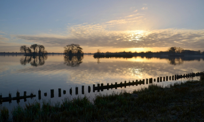 <i class='fa fa-user'></i>&nbsp;B.M.Schouten-Ruis&nbsp;|  Plassen van Reeuwijk&nbsp; <i class='fa fa-eye'>&nbsp;133</i> &nbsp;<i class='fa fa-thumbs-up'>&nbsp;1</i> &nbsp; <i class='fa fa-comment-o'>&nbsp;5</i>