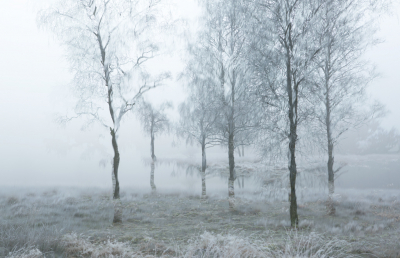 <i class='fa fa-user'></i>&nbsp;nelappelmelk&nbsp;|  Winters Landschap&nbsp; <i class='fa fa-eye'>&nbsp;145</i> &nbsp;<i class='fa fa-thumbs-up'>&nbsp;1</i> &nbsp; <i class='fa fa-comment-o'>&nbsp;6</i>