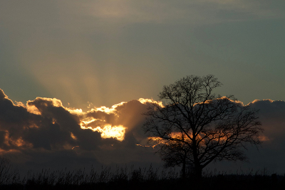 <i class='fa fa-user'></i>&nbsp;Erjan Averesch&nbsp;|  Zonsondergang&nbsp; <i class='fa fa-eye'>&nbsp;164</i> &nbsp; <i class='fa fa-comment-o'>&nbsp;2</i>