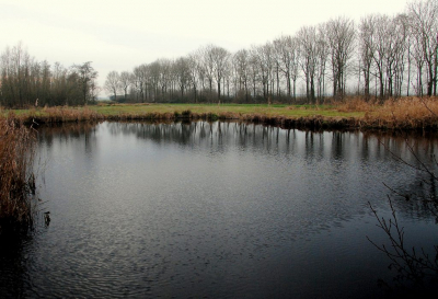 <i class='fa fa-user'></i>&nbsp;kooyammers&nbsp;|  Weerspiegeling in Sloot&nbsp; <i class='fa fa-eye'>&nbsp;104</i> &nbsp; <i class='fa fa-comment-o'>&nbsp;0</i>
