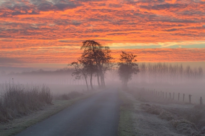 <i class='fa fa-user'></i>&nbsp;bentom&nbsp;|  Ochtendgloren in de polder&nbsp; <i class='fa fa-eye'>&nbsp;299</i> &nbsp;<i class='fa fa-thumbs-up'>&nbsp;7</i> &nbsp; <i class='fa fa-comment-o'>&nbsp;8</i>