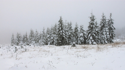 <i class='fa fa-user'></i>&nbsp;Paul Vandebroek&nbsp;|  Winterlandschap&nbsp; <i class='fa fa-eye'>&nbsp;204</i> &nbsp; <i class='fa fa-comment-o'>&nbsp;3</i>
