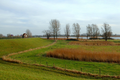 <i class='fa fa-user'></i>&nbsp;kooyammers&nbsp;|  Dijkmagazijn Langerak&nbsp; <i class='fa fa-eye'>&nbsp;130</i> &nbsp; <i class='fa fa-comment-o'>&nbsp;0</i>