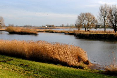 <i class='fa fa-user'></i>&nbsp;kooyammers&nbsp;|  Rietgors Vogelplas langs de Lek&nbsp; <i class='fa fa-eye'>&nbsp;142</i> &nbsp; <i class='fa fa-comment-o'>&nbsp;1</i>