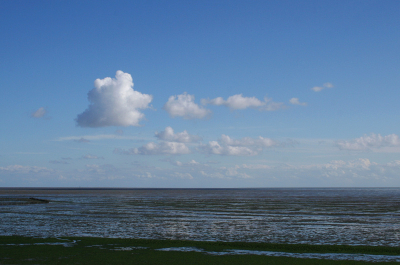 <i class='fa fa-user'></i> pepijn | Waddenzee, texel  <i class='fa fa-eye'> 213</i>   <i class='fa fa-comment-o'> 2</i>