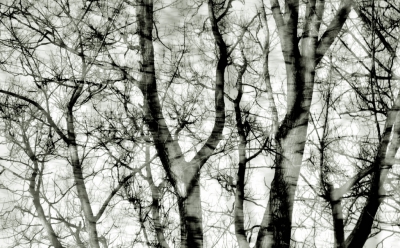 <i class='fa fa-user'></i>&nbsp;plaatjesmaker&nbsp;|  Winterbos&nbsp; <i class='fa fa-eye'>&nbsp;150</i> &nbsp; <i class='fa fa-comment-o'>&nbsp;1</i>