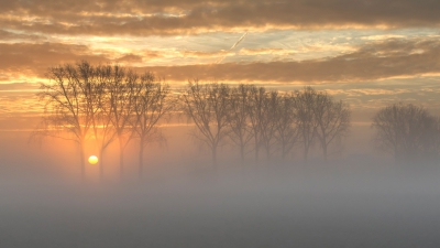 <i class='fa fa-user'></i>&nbsp;bentom&nbsp;|  Mist in de polder&nbsp; <i class='fa fa-eye'>&nbsp;204</i> &nbsp;<i class='fa fa-thumbs-up'>&nbsp;2</i> &nbsp; <i class='fa fa-comment-o'>&nbsp;1</i>