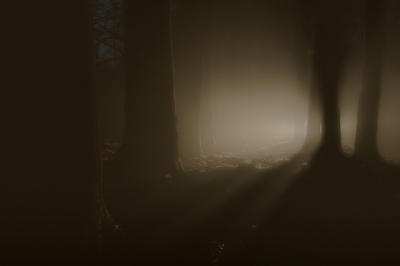 <i class='fa fa-user'></i>&nbsp;natuur(a)art&nbsp;|  Lichtspel&nbsp; <i class='fa fa-eye'>&nbsp;208</i> &nbsp;<i class='fa fa-thumbs-up'>&nbsp;5</i> &nbsp; <i class='fa fa-comment-o'>&nbsp;3</i>