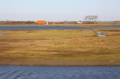 <i class='fa fa-user'></i>&nbsp;Mark de Bruijn&nbsp;|  Zeeuws Landschap&nbsp; <i class='fa fa-eye'>&nbsp;109</i> &nbsp; <i class='fa fa-comment-o'>&nbsp;0</i>