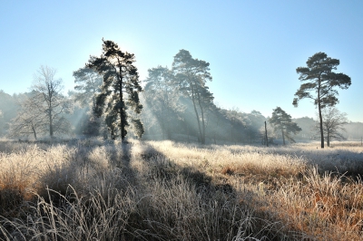 <i class='fa fa-user'></i>&nbsp;Vincent Rijnbende&nbsp;|  Brunssummerheide&nbsp; <i class='fa fa-eye'>&nbsp;230</i> &nbsp;<i class='fa fa-thumbs-up'>&nbsp;8</i> &nbsp; <i class='fa fa-comment-o'>&nbsp;8</i>