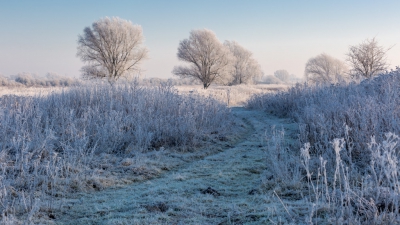 <i class='fa fa-user'></i>&nbsp;bentom&nbsp;|  Winterse Uiterwaarden&nbsp; <i class='fa fa-eye'>&nbsp;122</i> &nbsp; <i class='fa fa-comment-o'>&nbsp;4</i>