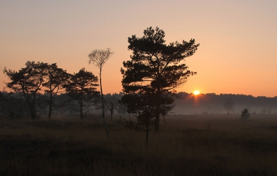 <i class='fa fa-user'></i>&nbsp;Paul Vandebroek&nbsp;|  Zonsondergang&nbsp; <i class='fa fa-eye'>&nbsp;88</i> &nbsp; <i class='fa fa-comment-o'>&nbsp;1</i>