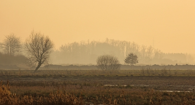<i class='fa fa-user'></i>&nbsp;Pieter  LJ&nbsp;|  Noordpolder van Ossendrecht&nbsp; <i class='fa fa-eye'>&nbsp;105</i> &nbsp; <i class='fa fa-comment-o'>&nbsp;5</i>