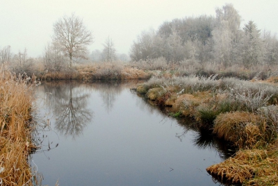 <i class='fa fa-user'></i>&nbsp;kooyammers&nbsp;|  Landschap met Rijp&nbsp; <i class='fa fa-eye'>&nbsp;99</i> &nbsp; <i class='fa fa-comment-o'>&nbsp;3</i>