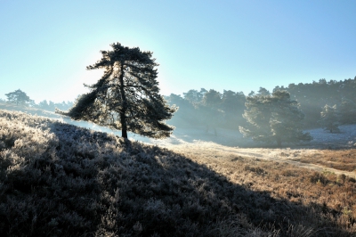 <i class='fa fa-user'></i>&nbsp;Vincent Rijnbende&nbsp;|  Brunssummerheide&nbsp; <i class='fa fa-eye'>&nbsp;147</i> &nbsp; <i class='fa fa-comment-o'>&nbsp;0</i>