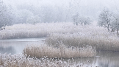 <i class='fa fa-user'></i>&nbsp;Henri van Vliet&nbsp;|  Winterlandschap&nbsp; <i class='fa fa-eye'>&nbsp;212</i> &nbsp;<i class='fa fa-thumbs-up'>&nbsp;1</i> &nbsp; <i class='fa fa-comment-o'>&nbsp;9</i>