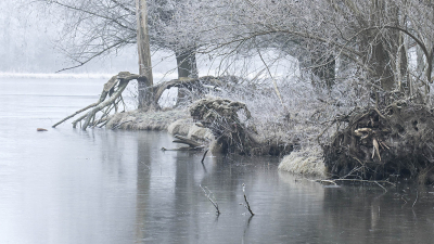 <i class='fa fa-user'></i>&nbsp;Henri van Vliet&nbsp;|  Winterlandschap&nbsp; <i class='fa fa-eye'>&nbsp;225</i> &nbsp; <i class='fa fa-comment-o'>&nbsp;7</i>