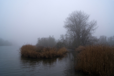 <i class='fa fa-user'></i>&nbsp;Schollevaer&nbsp;|  Brabantse Biesbosch&nbsp; <i class='fa fa-eye'>&nbsp;131</i> &nbsp; <i class='fa fa-comment-o'>&nbsp;6</i>
