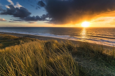 <i class='fa fa-user'></i>&nbsp;Matthijs&nbsp;|  Zonsondergang in de duinen&nbsp; <i class='fa fa-eye'>&nbsp;193</i> &nbsp; <i class='fa fa-comment-o'>&nbsp;6</i>