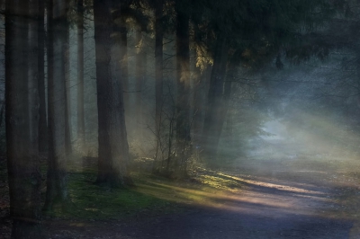 <i class='fa fa-user'></i>&nbsp;NelTalen&nbsp;|  Blauw licht&nbsp; <i class='fa fa-eye'>&nbsp;440</i> &nbsp;<i class='fa fa-thumbs-up'>&nbsp;10</i> &nbsp; <i class='fa fa-comment-o'>&nbsp;9</i>