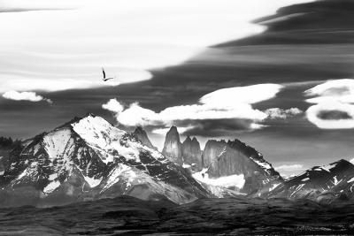 <i class='fa fa-user'></i>&nbsp;Frank Neervoort&nbsp;|  Torres del Paine&nbsp; <i class='fa fa-eye'>&nbsp;169</i> &nbsp;<i class='fa fa-thumbs-up'>&nbsp;1</i> &nbsp; <i class='fa fa-comment-o'>&nbsp;6</i>