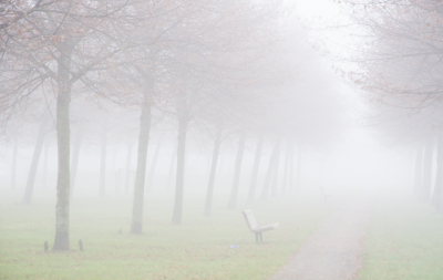 <i class='fa fa-user'></i>&nbsp;plaatjesmaker&nbsp;|  Er priemt een lichte door de mist&nbsp; <i class='fa fa-eye'>&nbsp;143</i> &nbsp; <i class='fa fa-comment-o'>&nbsp;0</i>