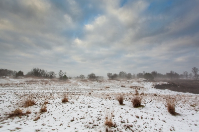 <i class='fa fa-user'></i>&nbsp;gertjan&nbsp;|  Loonse en Drunense duinen&nbsp; <i class='fa fa-eye'>&nbsp;164</i> &nbsp; <i class='fa fa-comment-o'>&nbsp;2</i>