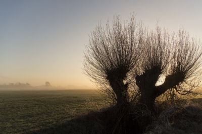 <i class='fa fa-user'></i>&nbsp;aloyss&nbsp;|  Landschap in tegenlicht&nbsp; <i class='fa fa-eye'>&nbsp;172</i> &nbsp;<i class='fa fa-thumbs-up'>&nbsp;2</i> &nbsp; <i class='fa fa-comment-o'>&nbsp;7</i>