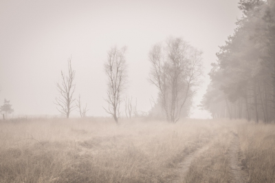 <i class='fa fa-user'></i>&nbsp;natuur(a)art&nbsp;|  Lichtspel&nbsp; <i class='fa fa-eye'>&nbsp;132</i> &nbsp; <i class='fa fa-comment-o'>&nbsp;2</i>