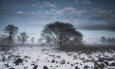 <i class='fa fa-user'></i>&nbsp;Niels Prinsen&nbsp;|  Winters landschap&nbsp; <i class='fa fa-eye'>&nbsp;160</i> &nbsp; <i class='fa fa-comment-o'>&nbsp;2</i>