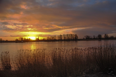 <i class='fa fa-user'></i>&nbsp;kooyammers&nbsp;|  Zonsopkomst Bergstoep&nbsp; <i class='fa fa-eye'>&nbsp;173</i> &nbsp; <i class='fa fa-comment-o'>&nbsp;5</i>
