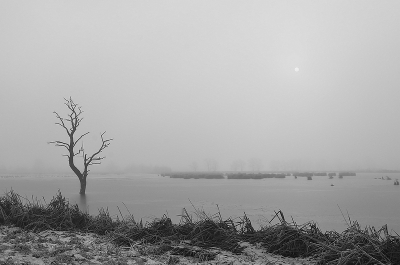 <i class='fa fa-user'></i>&nbsp;frbeuming&nbsp;|  Landschap&nbsp; <i class='fa fa-eye'>&nbsp;165</i> &nbsp;<i class='fa fa-thumbs-up'>&nbsp;1</i> &nbsp; <i class='fa fa-comment-o'>&nbsp;3</i>