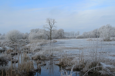 <i class='fa fa-user'></i>&nbsp;Tineke Strijbosch&nbsp;|  Winterlandschap&nbsp; <i class='fa fa-eye'>&nbsp;175</i> &nbsp;<i class='fa fa-thumbs-up'>&nbsp;2</i> &nbsp; <i class='fa fa-comment-o'>&nbsp;8</i>