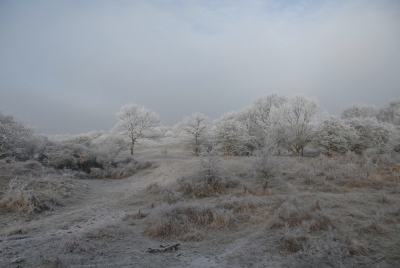 <i class='fa fa-user'></i>&nbsp;euroblinkie&nbsp;|  Duinen&nbsp; <i class='fa fa-eye'>&nbsp;132</i> &nbsp; <i class='fa fa-comment-o'>&nbsp;1</i>