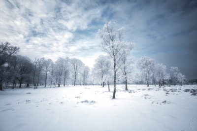 <i class='fa fa-user'></i>&nbsp;Niels Prinsen&nbsp;|  Winter wonderland&nbsp; <i class='fa fa-eye'>&nbsp;164</i> &nbsp;<i class='fa fa-thumbs-up'>&nbsp;1</i> &nbsp; <i class='fa fa-comment-o'>&nbsp;3</i>