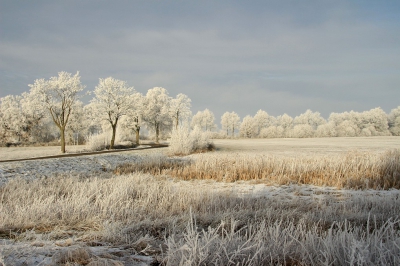 <i class='fa fa-user'></i>&nbsp;Tineke Strijbosch&nbsp;|  Winterlandschap 2&nbsp; <i class='fa fa-eye'>&nbsp;143</i> &nbsp; <i class='fa fa-comment-o'>&nbsp;9</i>