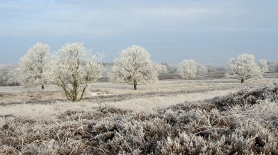 <i class='fa fa-user'></i>&nbsp;Tineke Strijbosch&nbsp;|  Gasterse Duinen&nbsp; <i class='fa fa-eye'>&nbsp;107</i> &nbsp;<i class='fa fa-thumbs-up'>&nbsp;1</i> &nbsp; <i class='fa fa-comment-o'>&nbsp;6</i>
