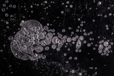 <i class='fa fa-user'></i>&nbsp;plaatjesmaker&nbsp;|  Bubbels in de sloot&nbsp; <i class='fa fa-eye'>&nbsp;114</i> &nbsp; <i class='fa fa-comment-o'>&nbsp;2</i>