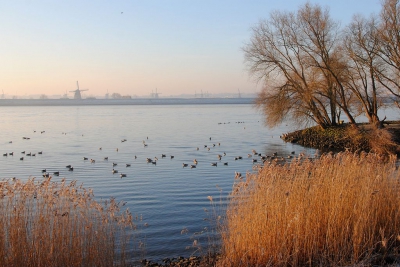<i class='fa fa-user'></i>&nbsp;kooyammers&nbsp;|  Gezicht op Kinderdijk&nbsp; <i class='fa fa-eye'>&nbsp;144</i> &nbsp;<i class='fa fa-thumbs-up'>&nbsp;2</i> &nbsp; <i class='fa fa-comment-o'>&nbsp;3</i>