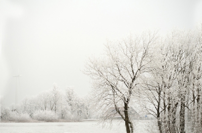 <i class='fa fa-user'></i>&nbsp;Sam Dijkstra&nbsp;|  Sneeuw&nbsp; <i class='fa fa-eye'>&nbsp;132</i> &nbsp; <i class='fa fa-comment-o'>&nbsp;2</i>