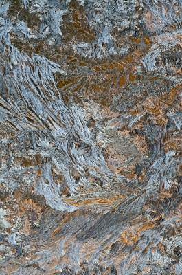 <i class='fa fa-user'></i>&nbsp;Johan van Gurp&nbsp;|  Rauwe vorst&nbsp; <i class='fa fa-eye'>&nbsp;132</i> &nbsp;<i class='fa fa-thumbs-up'>&nbsp;3</i> &nbsp; <i class='fa fa-comment-o'>&nbsp;7</i>