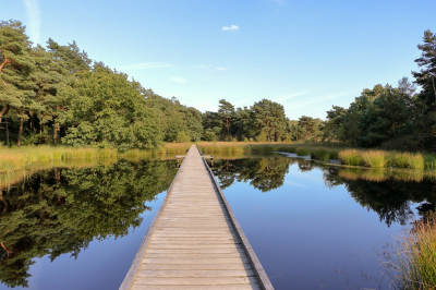 Eentje van deze zomer in het natuurgebied gelegen aan de Ceresweg, Bergen, Nederland.
Tijdens de wandeling ( kan met een rolstoel) dit fraaie landschap ontdekt.
https://www.google.be/maps/place/Ceresweg,+Bergen,+Nederland/@51.6118846,6.0712345,197m/data=!3m1!1e3!4m5!3m4!1s0x47c76bfe2646cb1f:0x30c7ff30ad2ebd64!8m2!3d51.6067927!4d6.0871339