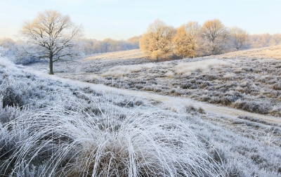 <i class='fa fa-user'></i>&nbsp;Henri Aantjes&nbsp;|  Winterlandschap Posbank&nbsp; <i class='fa fa-eye'>&nbsp;231</i> &nbsp; <i class='fa fa-comment-o'>&nbsp;7</i>