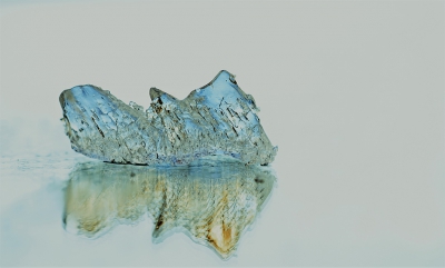 <i class='fa fa-user'></i>&nbsp;Sam Dijkstra&nbsp;|  IJssculpture&nbsp; <i class='fa fa-eye'>&nbsp;252</i> &nbsp;<i class='fa fa-thumbs-up'>&nbsp;12</i> &nbsp; <i class='fa fa-comment-o'>&nbsp;10</i>